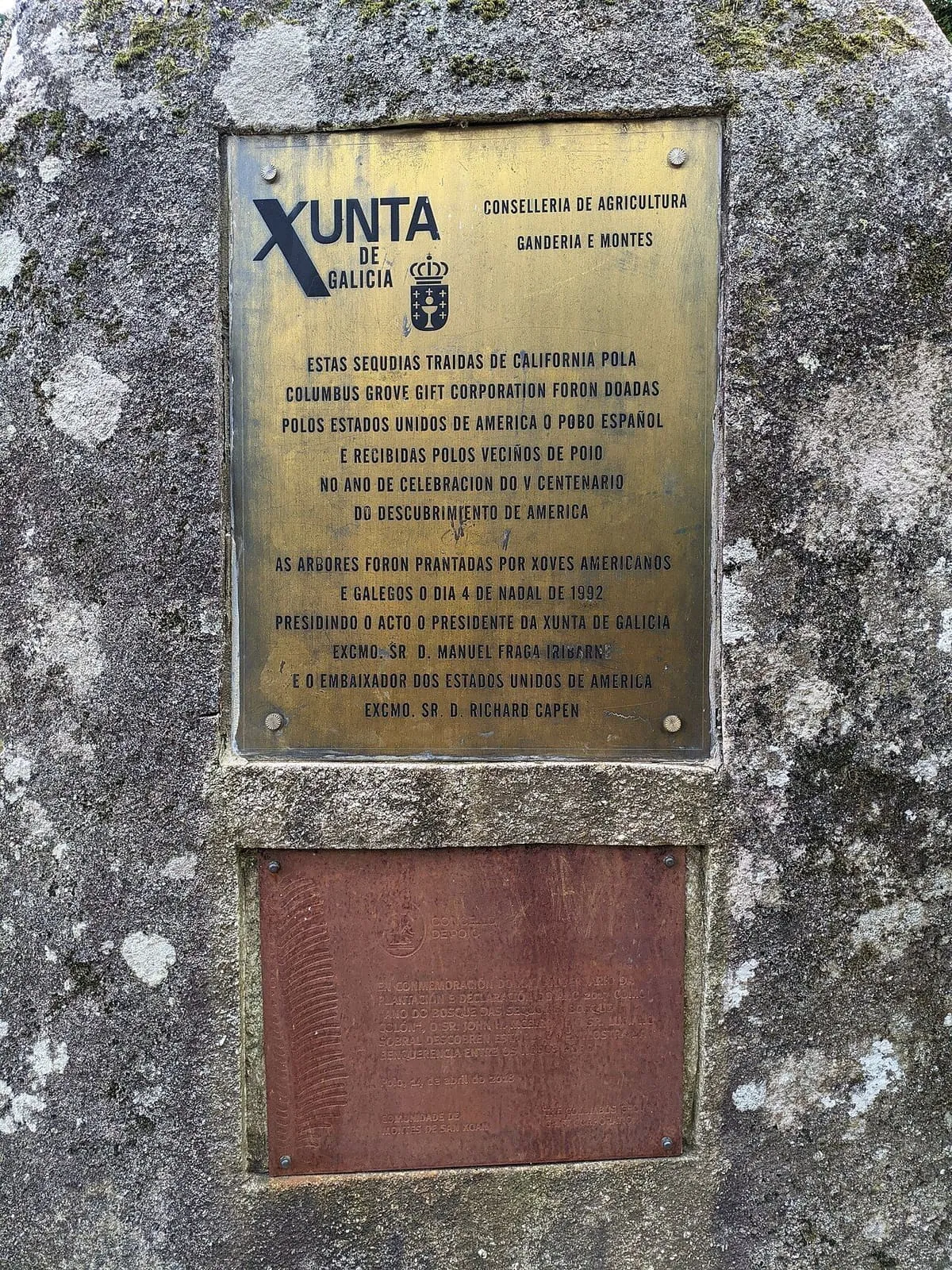 Placa conmemorativa sobre una piedra en el bosque de sequoias