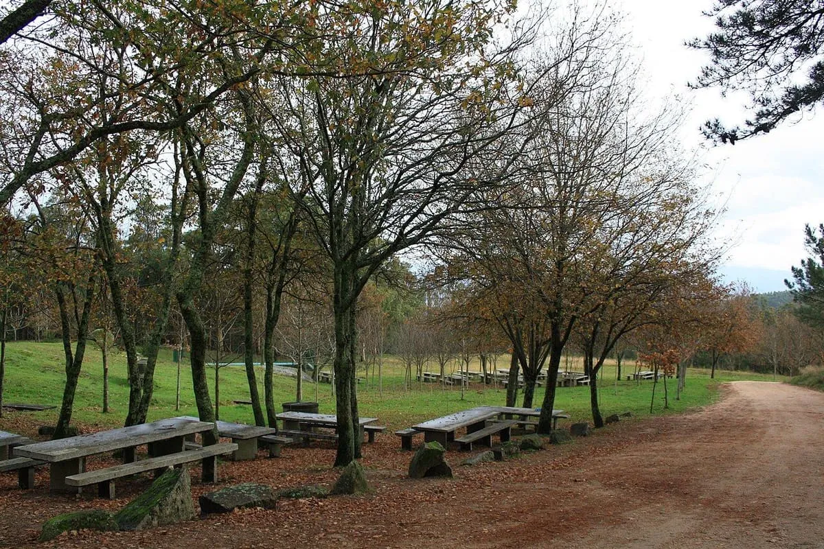 Mesas de picnic bajo árboles en el área recreativa del Faro de Budiño