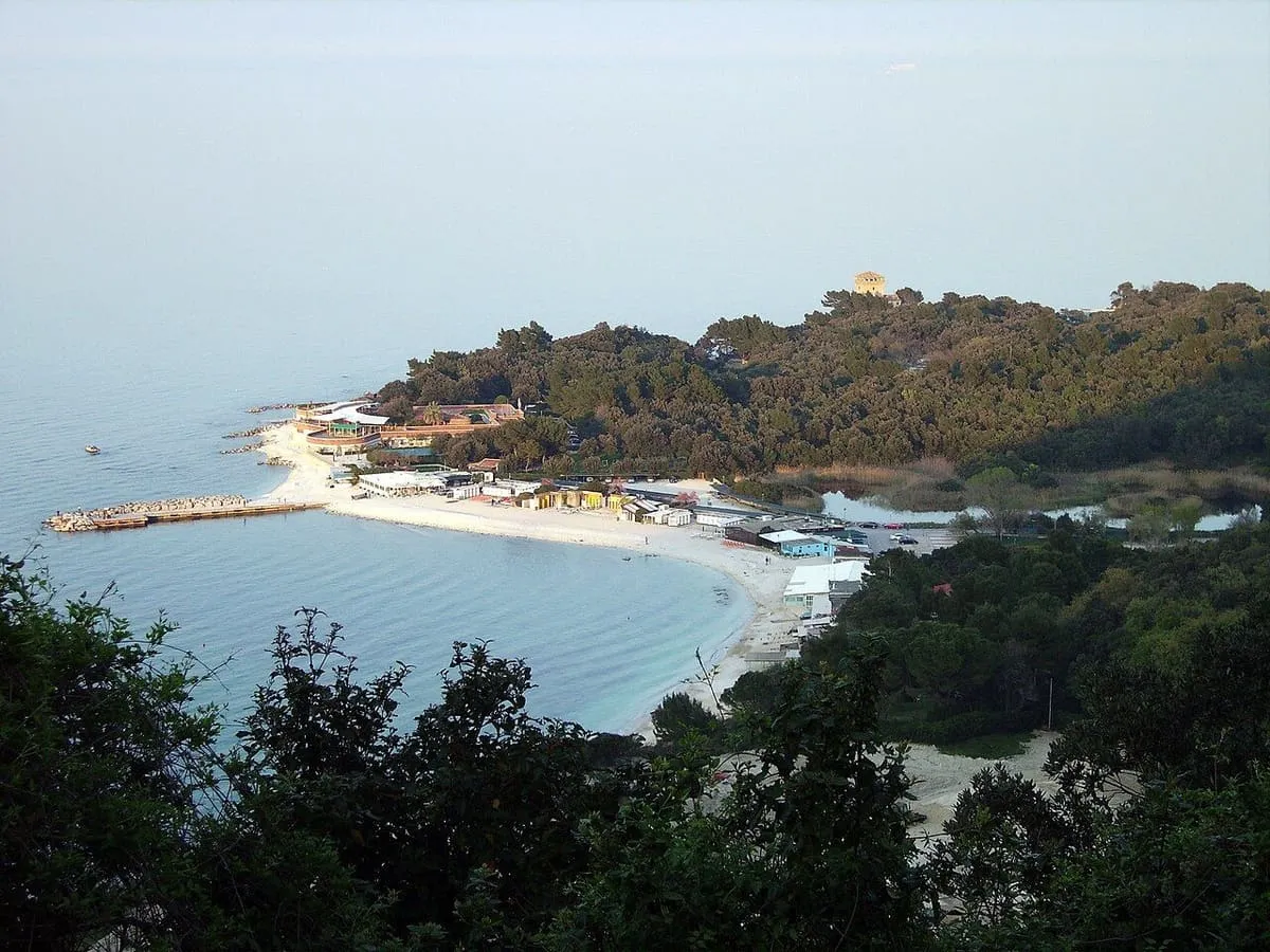 Cala con arena y un espigón con un pinar junto a Portonovo, vista desde arriba