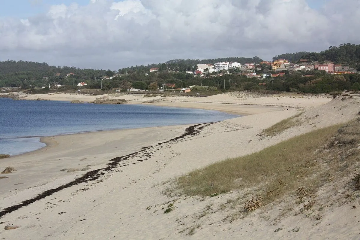 Arenal de la playa de Mexilloeira, con vegetación de dunas al fondo