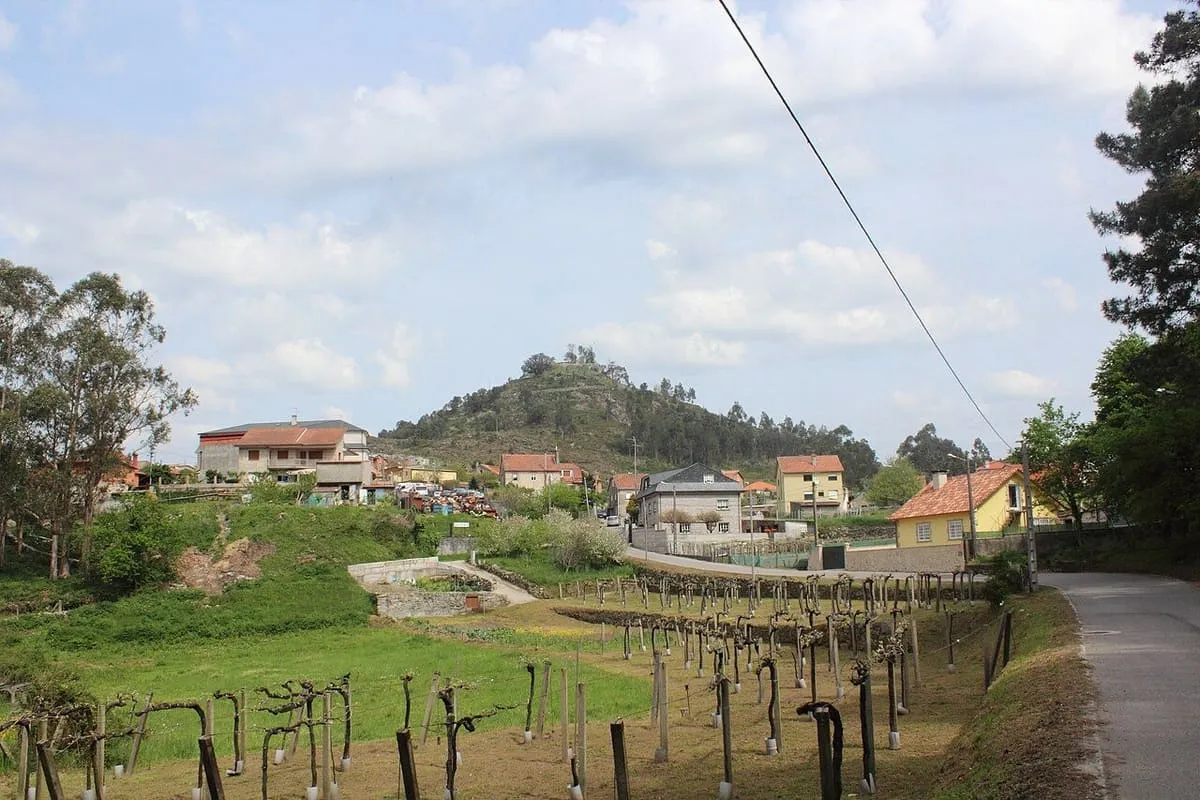 El monte da Peneda, aislado en el centro de un valle, visto desde unos viñedos