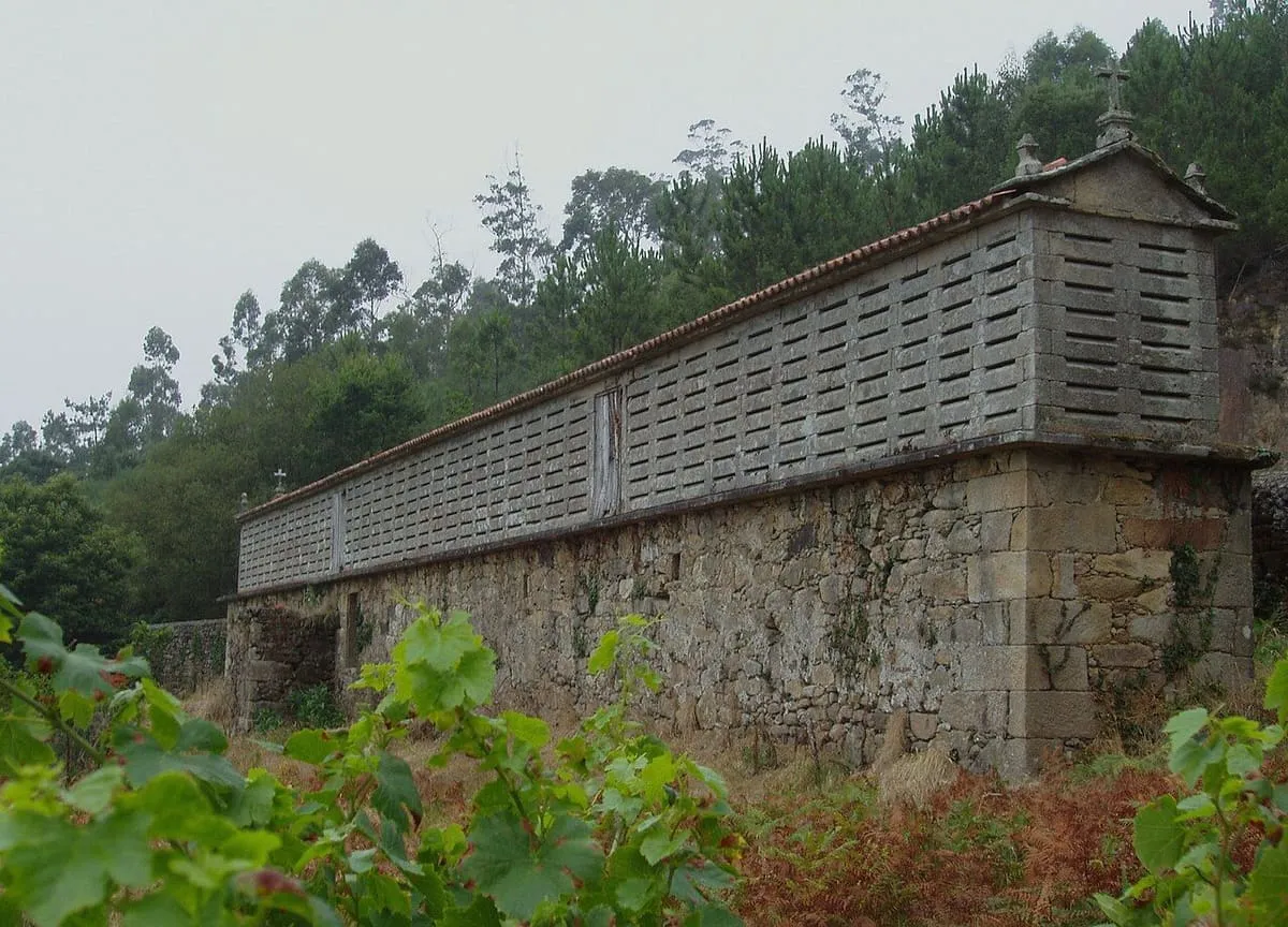 Lateral del hórreo do Araño, con el basamento de mampostería y la cámara de lajas