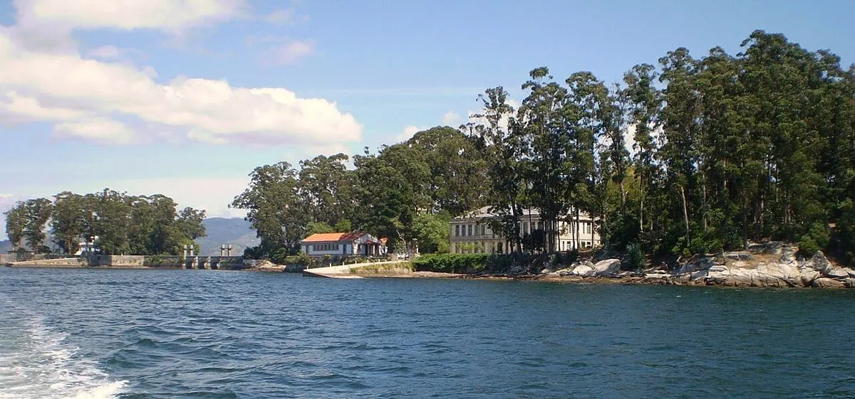 Orilla de la isla de San Simón con eucaliptos y los edificios entre los árboles