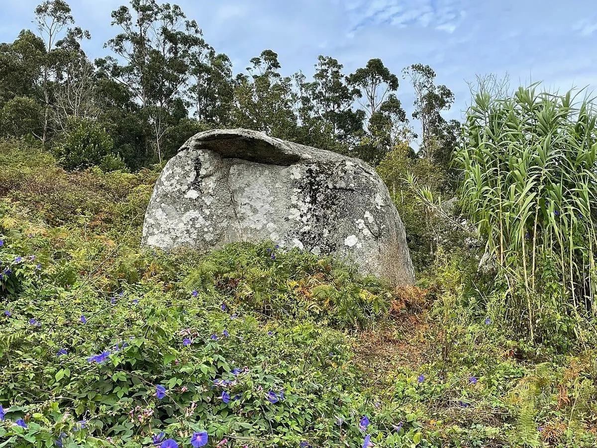 Gran bloque de granito entre hierba alta y eucaliptos en el monte de Cabo Udra