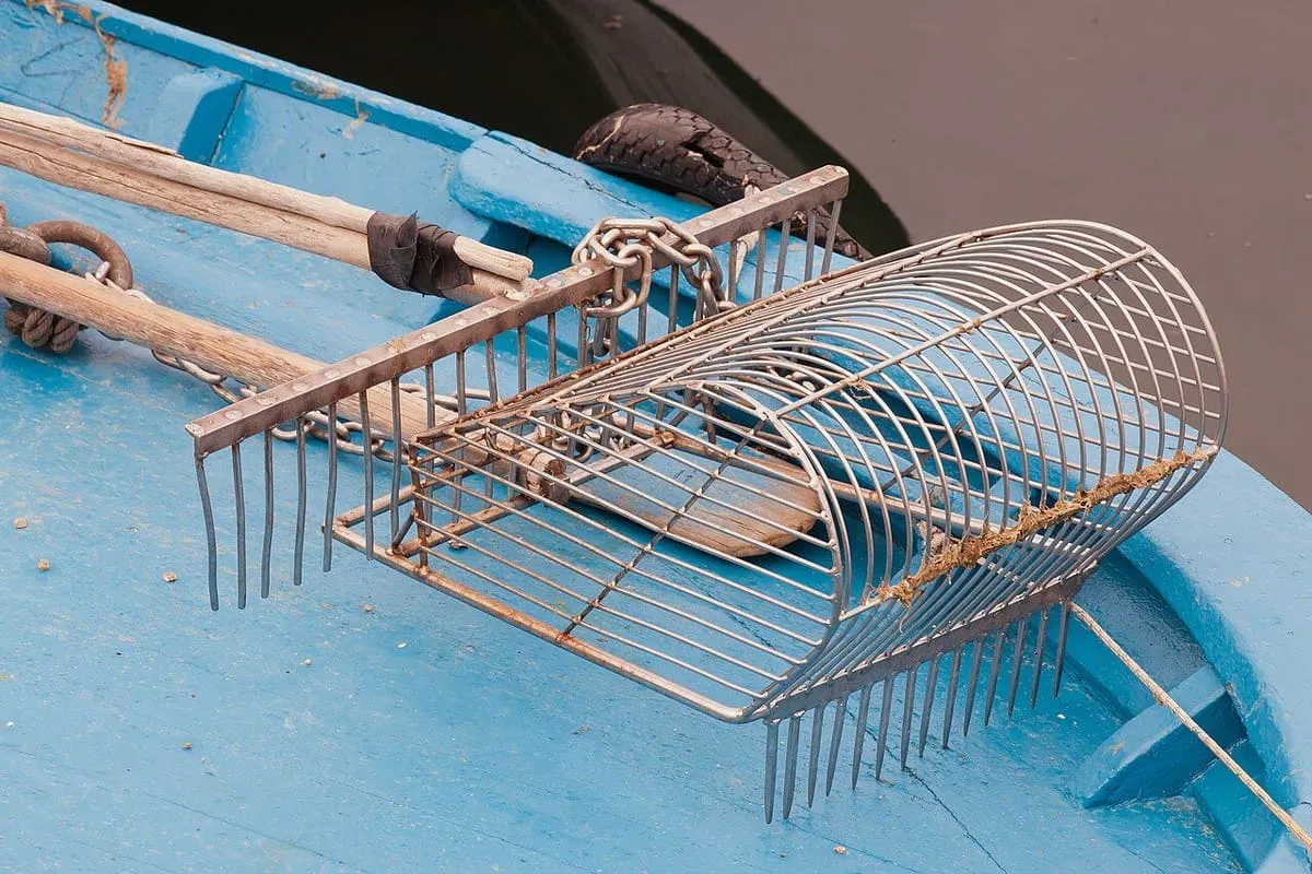 Un rastrillo de metal para mariscar sobre un bote azul, en O Carril