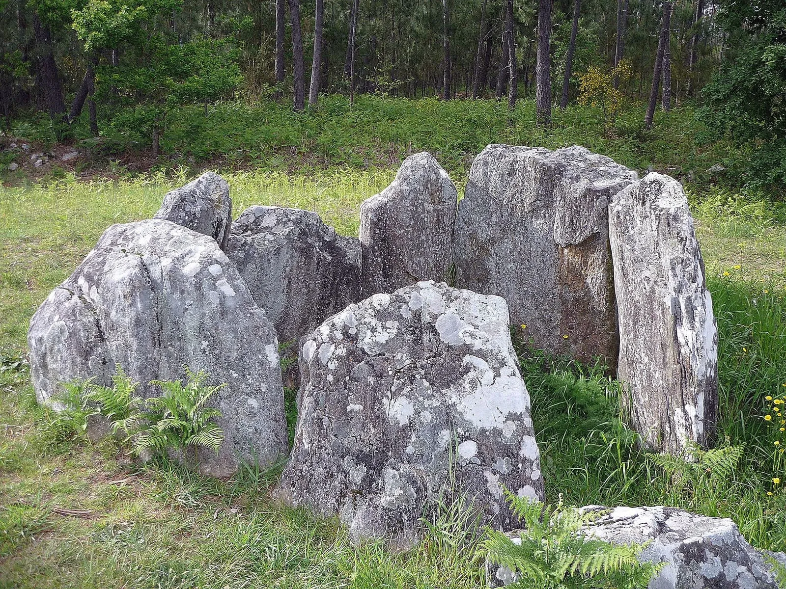El dolmen de Argalo, un círculo de grandes losas de piedra en un prado, rodeado de pinos