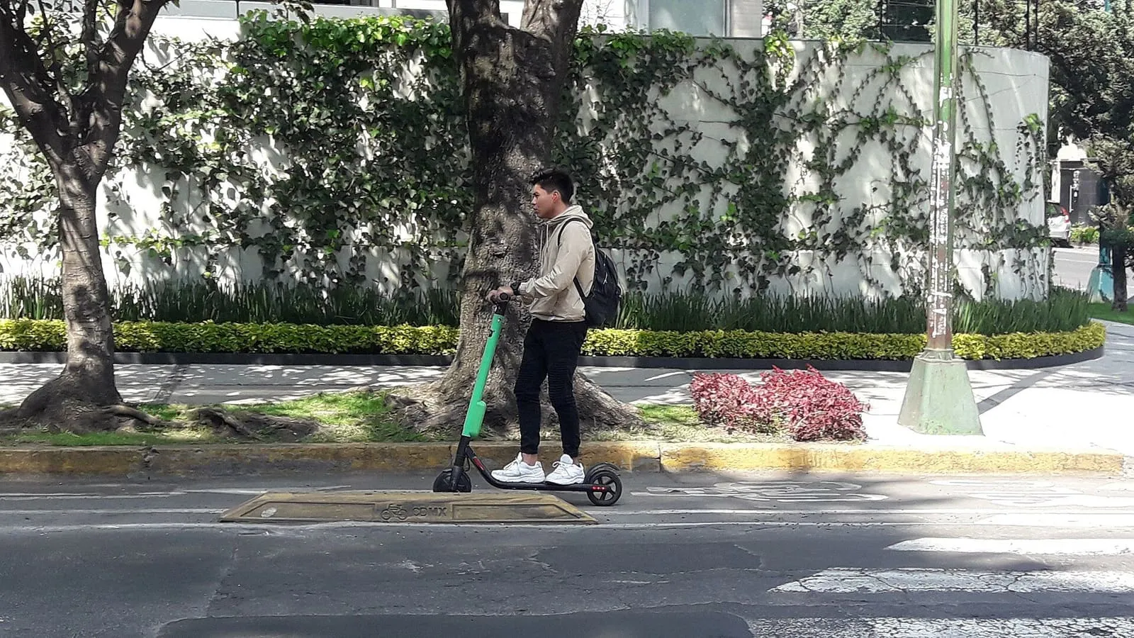 Joven con mochila sobre un patinete eléctrico en una calle arbolada