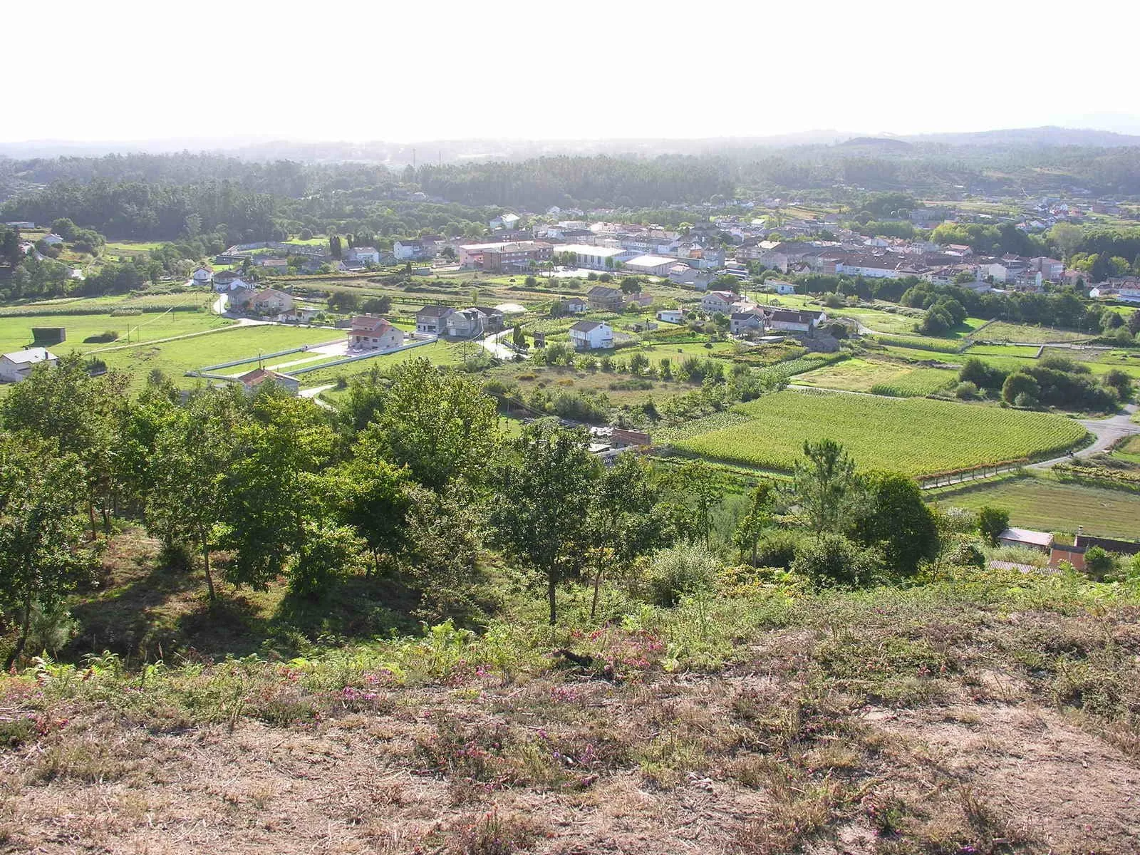 Vista del valle de Cuntis con prados y casas desde el monte de Castrolandín
