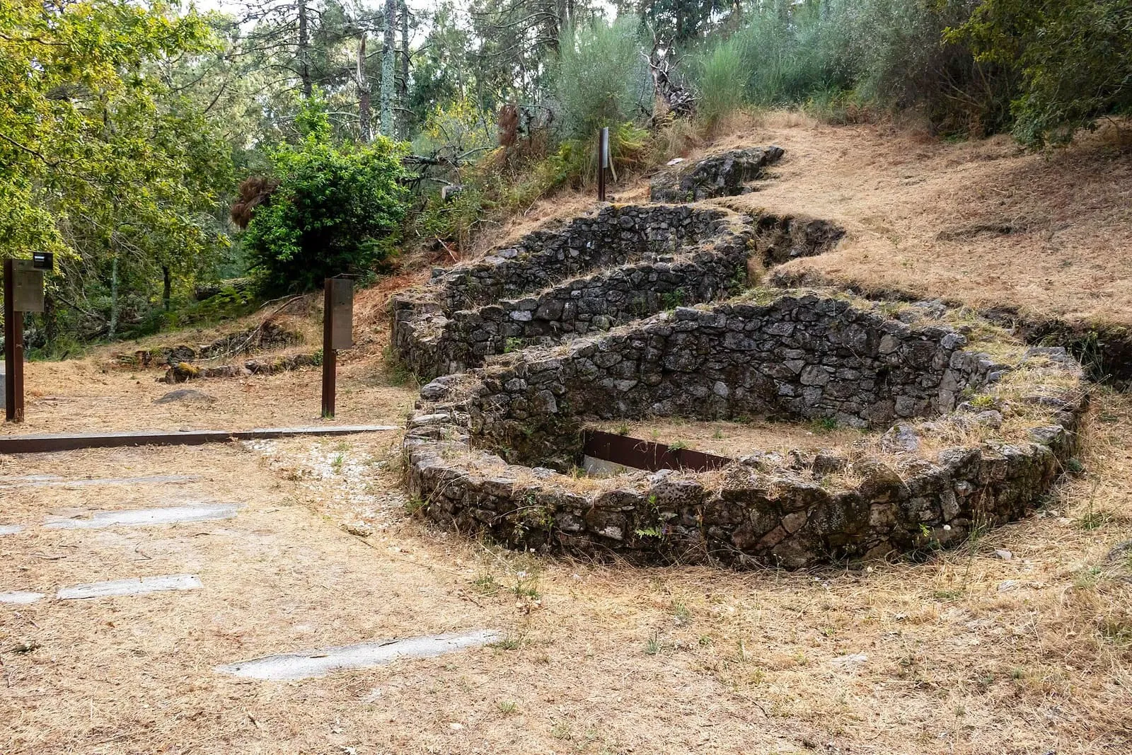 Una casa castreña circular de piedra reconstruida en el castro da Subidá, entre pinos y suelo de tierra
