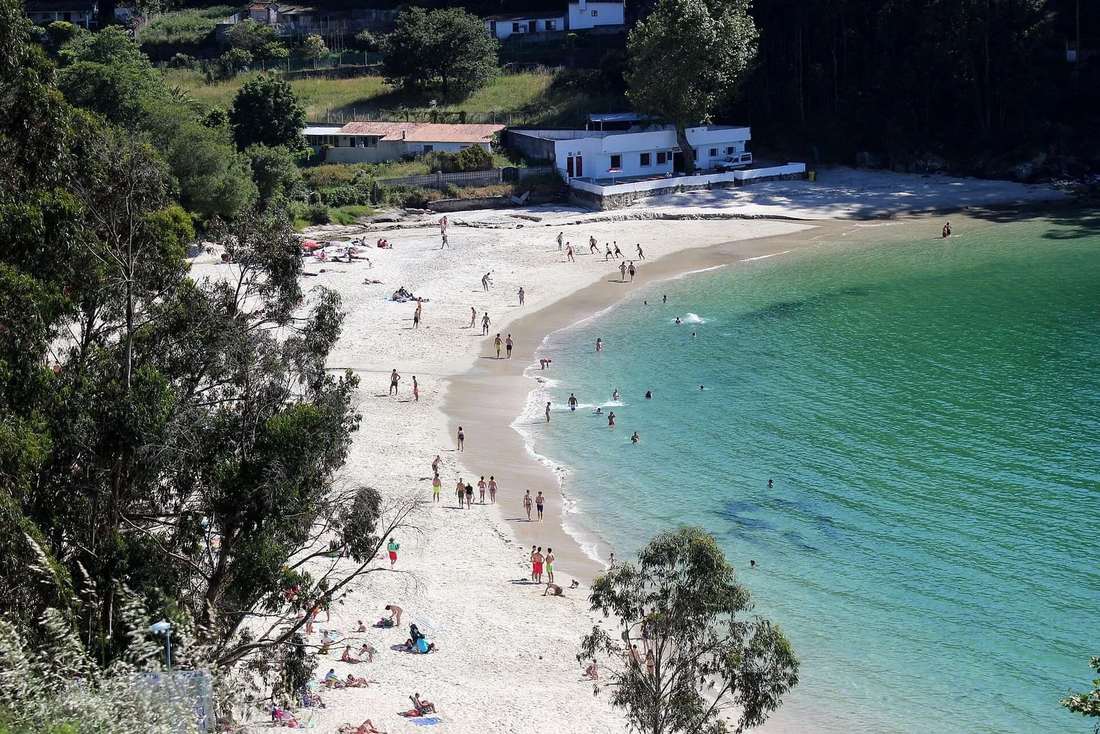 Playa de Mogor, en Marín, con arena blanca y aguas turquesas entre pinos