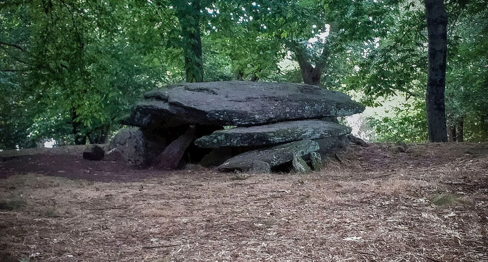 El dolmen de Chan da Arquiña, con una gran losa horizontal sobre piedras verticales, en un claro del bosque
