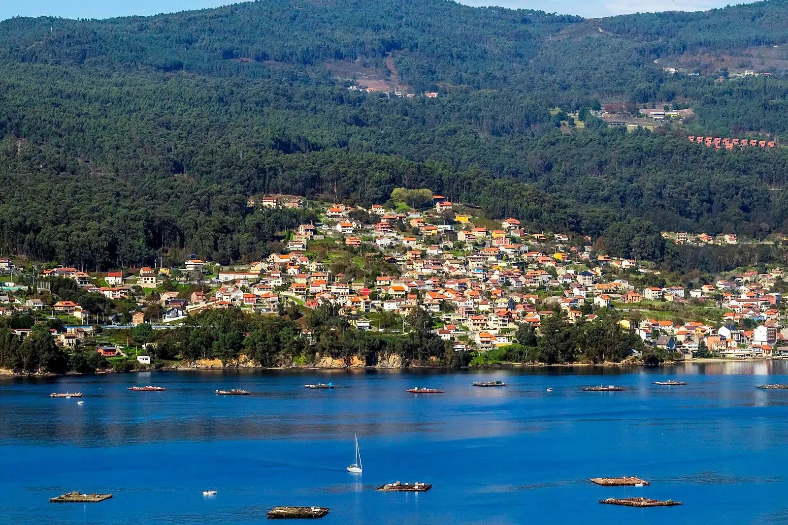 Domaio visto desde la ría, con casas sobre la ladera, bateas y velero