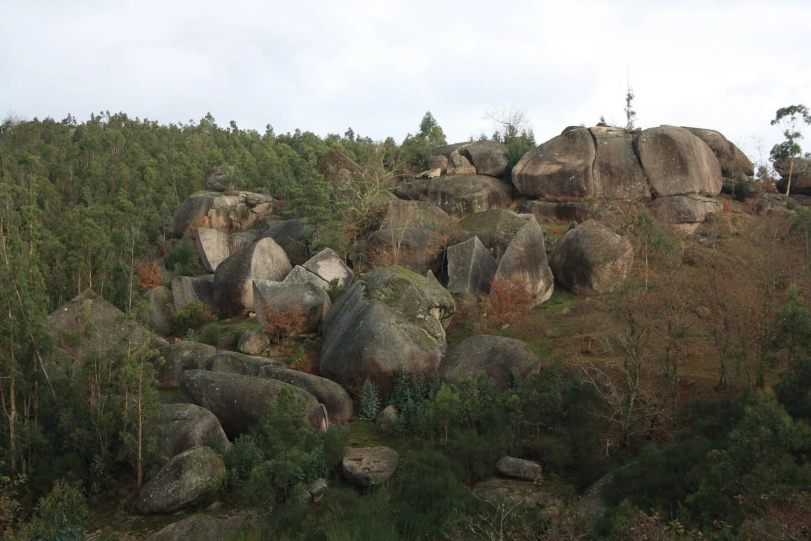 Grandes bloques de granito redondeados sobre la ladera del Faro de Budiño, entre pinos