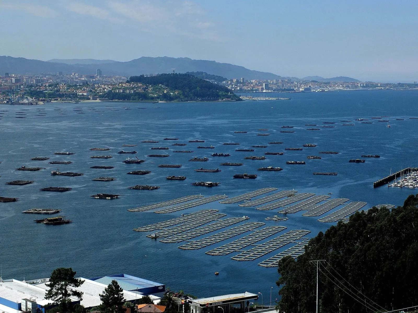 Bateas de mejillón en la ría de Vigo, con la ciudad al fondo